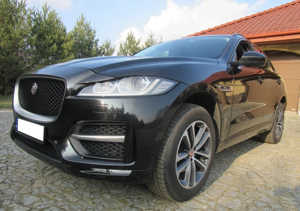 Jaguar F-Pace cena 84500 przebieg: 124677, rok produkcji 2016 z Rypin małe 67